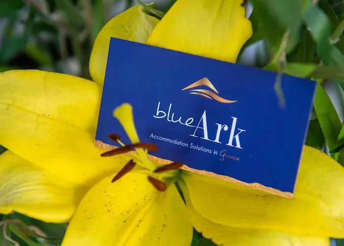 Blue Ark Acropolis Spirit